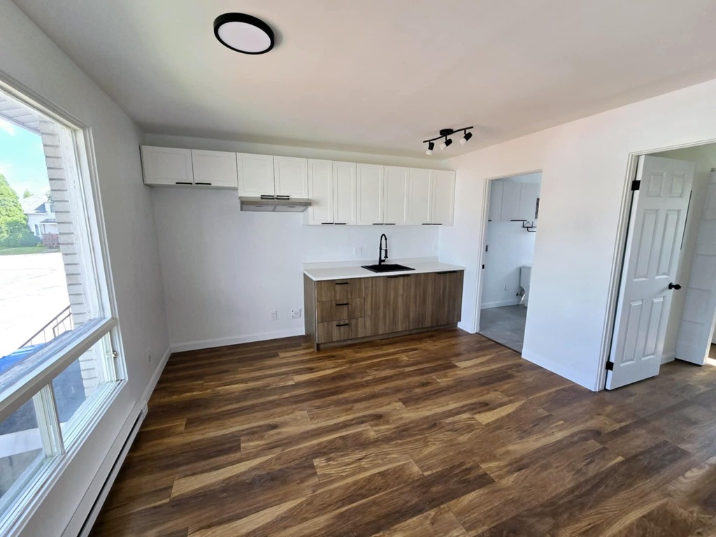 Beau Logement 3½ Entièrement Rénové | 3291668