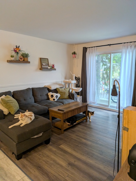 4 1/2 à Louer Tout Inclus! | 3291696