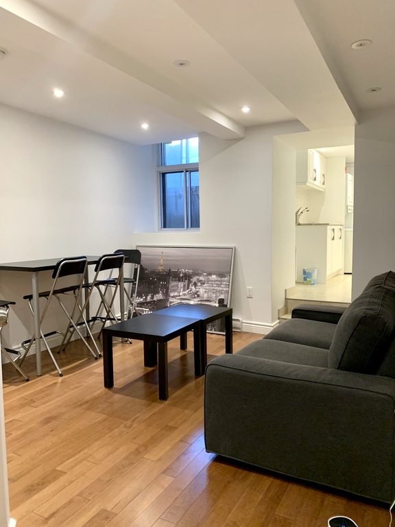 Downtown - Nice Furnished 3 1/2 For Rent | 3291719