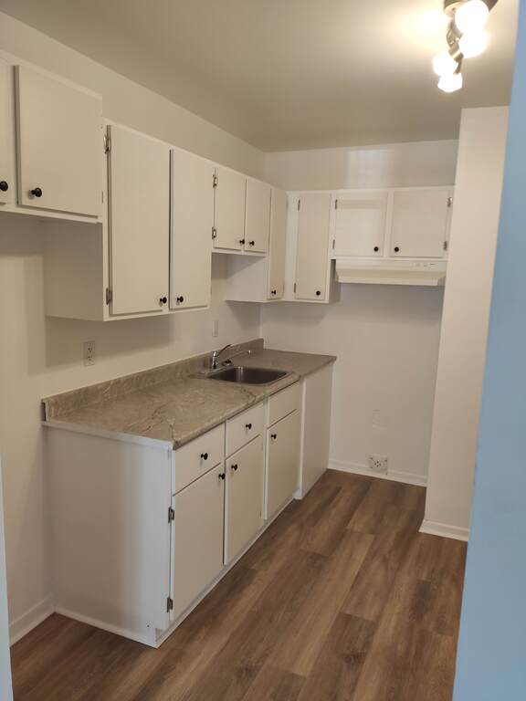 4 ½, 2 Chambres, Centre-sud, Près UQAM | 3291732