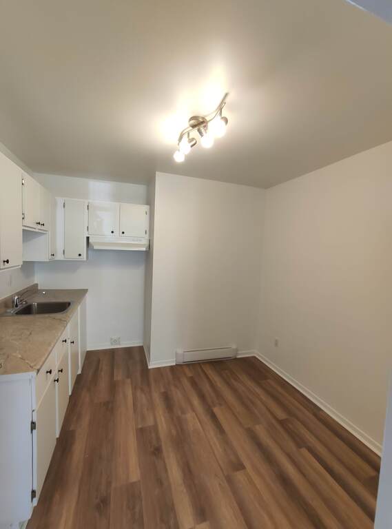 4 ½, 2 Chambres, Centre-sud, Près UQAM | 3291732
