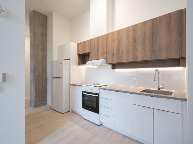 5½ neuf | Métro Charlevoix | Sud-Ouest Montréal | 3291839