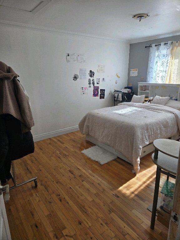 Grandes chambres à louer près de l'hôpital Maisonneuve-Rosemont | 3291850