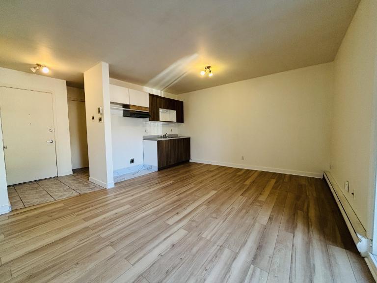 Loft à louer Lévis juin 2026 | 3291881