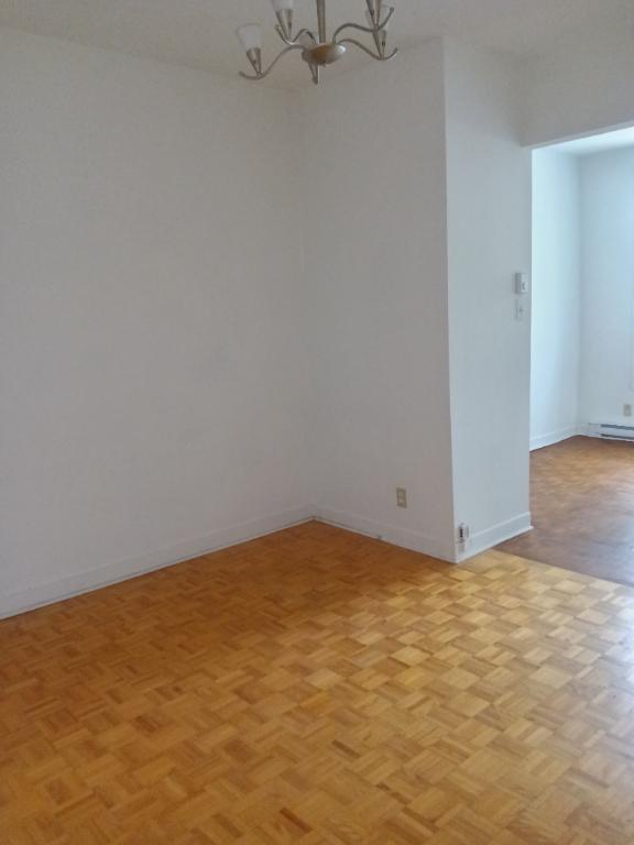 3 1/2 près du parc Lafontaine | 3291990