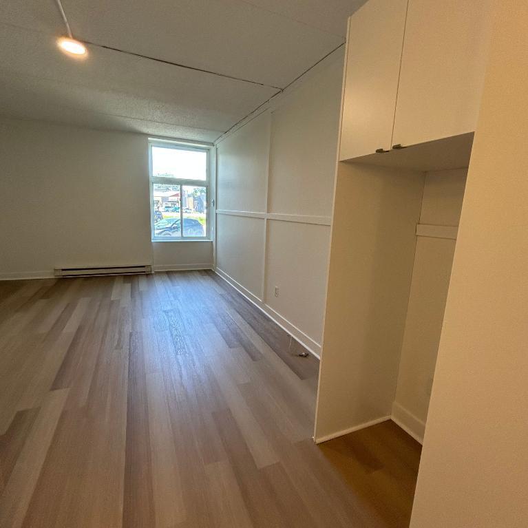 Studio - Saint-Charles-Borromée - $1,049 /mo | 3292079