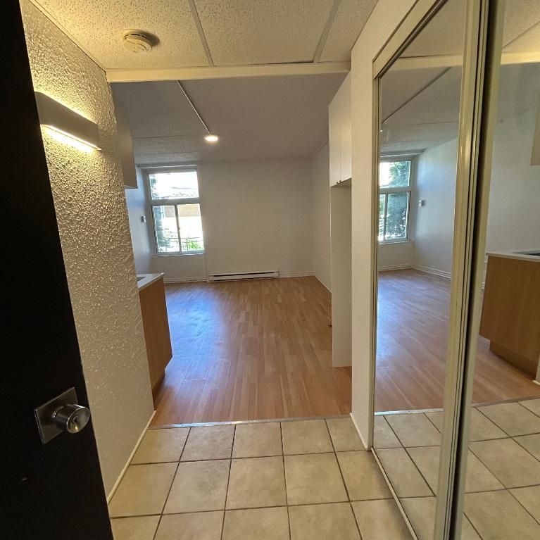 Studio - Saint-Charles-Borromée - $1,049 /mo | 3292132