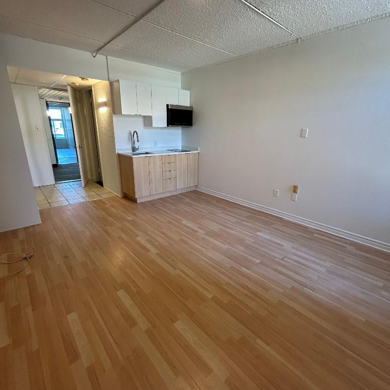Studio - Saint-Charles-Borromée - $1,049 /mo | 3292141