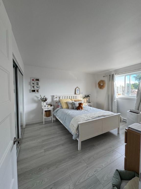Appartement 4 chambres 1 salle de bain | 3292147