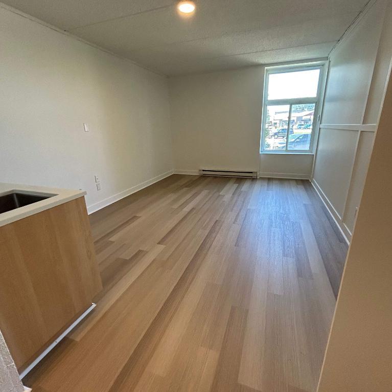 Studio - Saint-Charles-Borromée - $1,049 /mo | 3292165