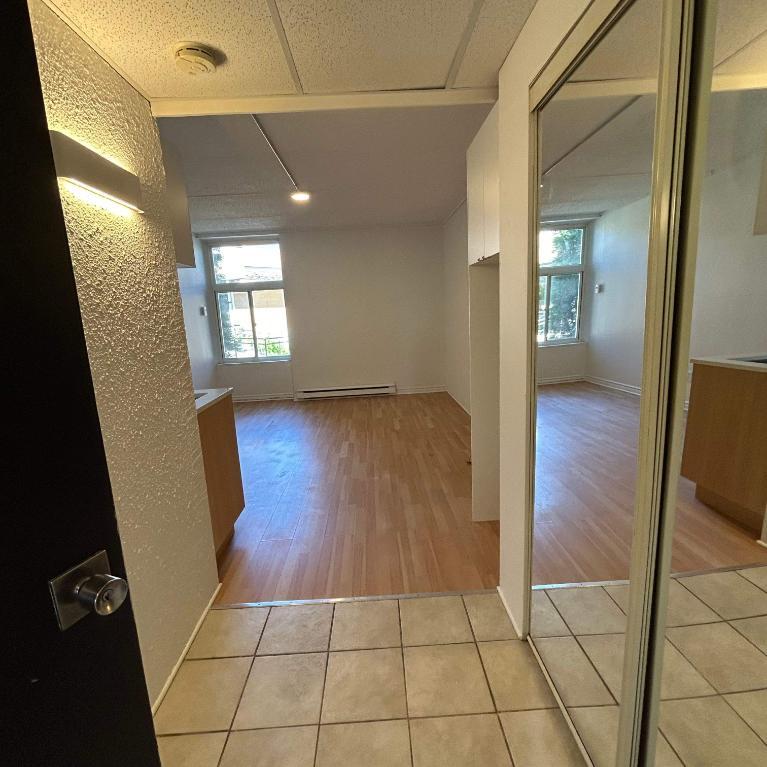 Studio - Saint-Charles-Borromée - $1,049 /mo | 3292171