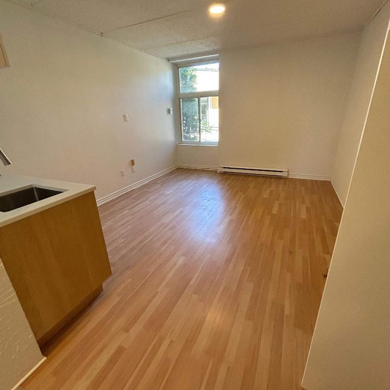 Studio - Saint-Charles-Borromée - $1,049 /mo | 3292173