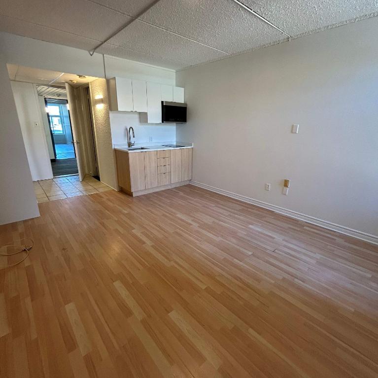Studio - Saint-Charles-Borromée - $1,049 /mo | 3292196