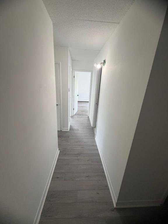 2 CH - 1 SDB - Québec - $1,349 /mo | 3292270