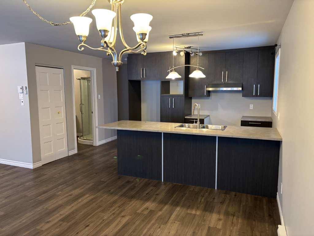 4 1/2 À LOUER (ST-DENIS-DE-BROMPTON) | 3292278