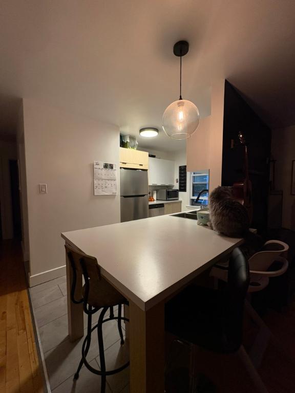 Appartement 4 1/2 | 3292281
