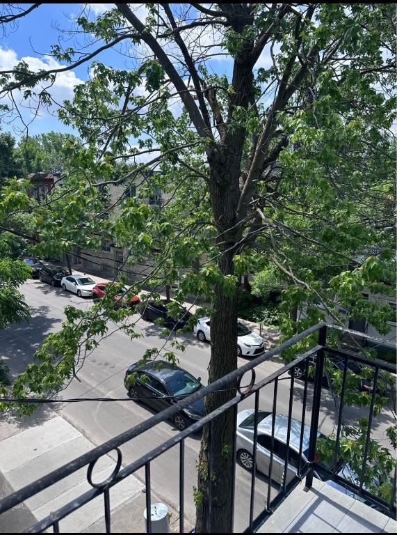 Studio à louer – Plateau Mont-Royal (possibilité de stationnement) | 3292294