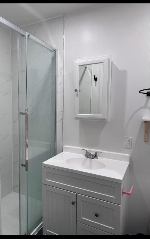 Studio à louer – Plateau Mont-Royal (possibilité de stationnement) | 3292294