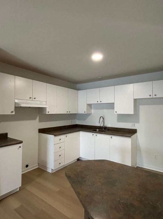 2 CH - 1 SDB - Saint-Charles-Borromée - $1,299 /mo | 3292321