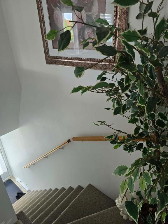 Grand 4 1/2 libre 1 août . IMPECCABLE | 3292380
