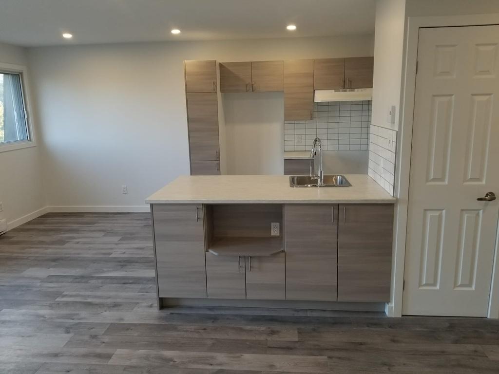 Nouveau 4 1/2 à louer Greenfield Park Longueuil Rive-Sud **1er juillet | 3292419