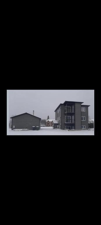 Logement 4 1/2 Mont-Laurier | 3292421