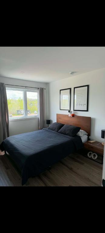 Logement 4 1/2 Mont-Laurier | 3292421