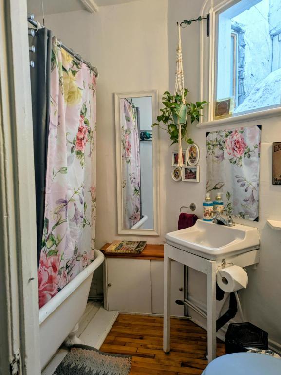 6 1/2 (et demi) dans Rosemont (Promenade Masson) | 3292497