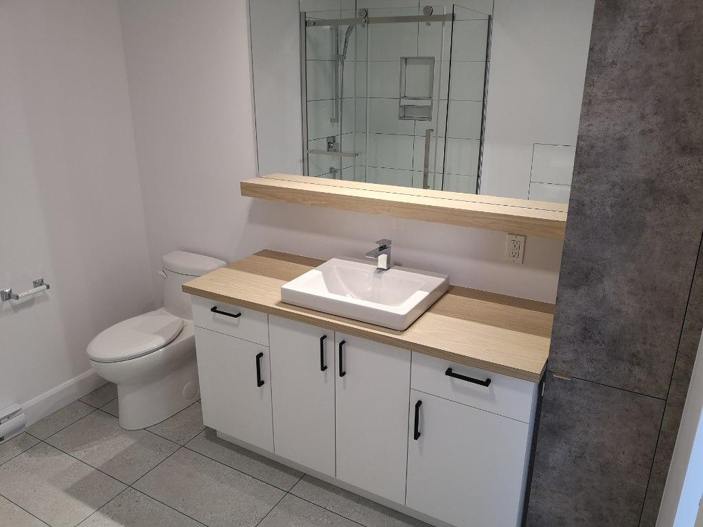 St-Hyacinthe, Logement à louer JUILLET (voir inclusions) | 3292551