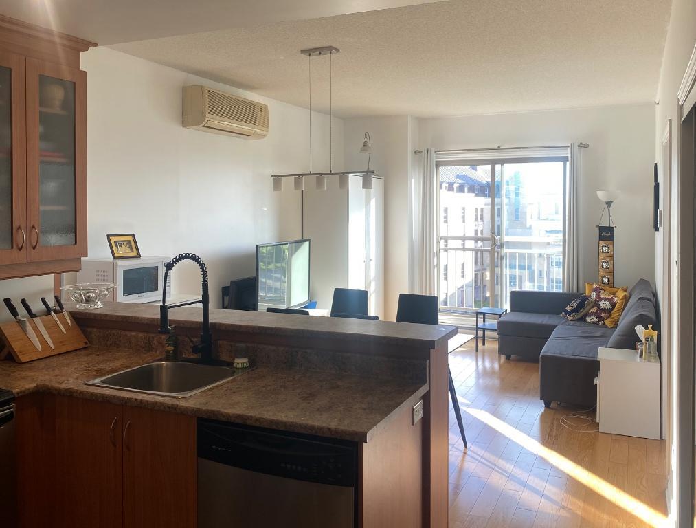 Appartement 3 1/2 à louer | 3292576