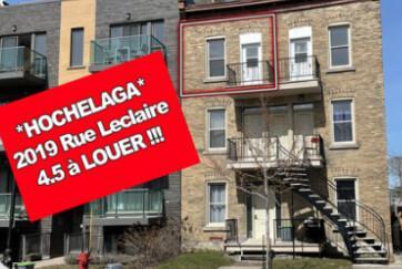 4 1/2 - Montréal (Hochelaga / Maisonneuve) - 1 750 $/mois | 3292712