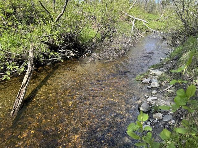 Ste-Praxède, Chaudière-Appalaches. Grand terrain de 180 140 pi.ca. en zonage BLANC. Hydro disponible, borné par le Ruisseau Jackman. | 3292902