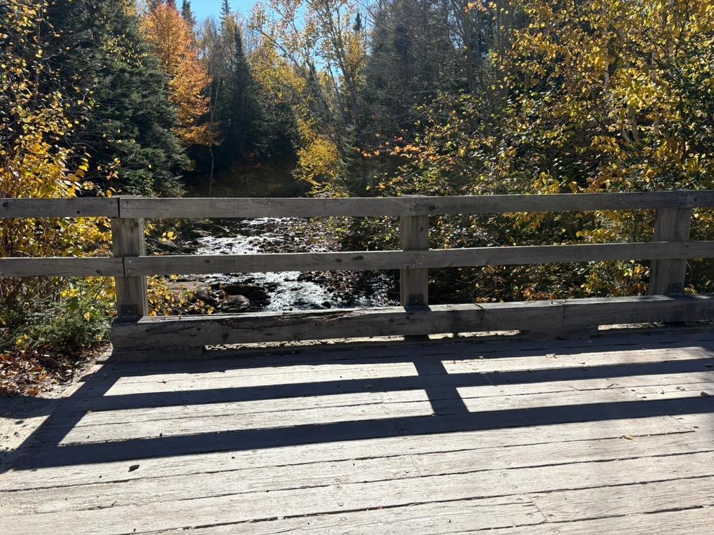 Terrain sur ruisseau (Saint-Donat) | 3297224