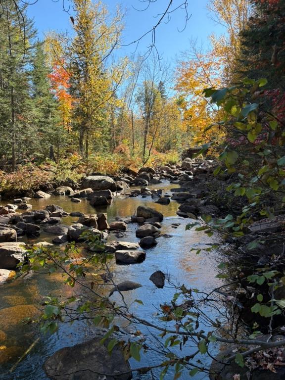 Terrain sur ruisseau (Saint-Donat) | 3297224