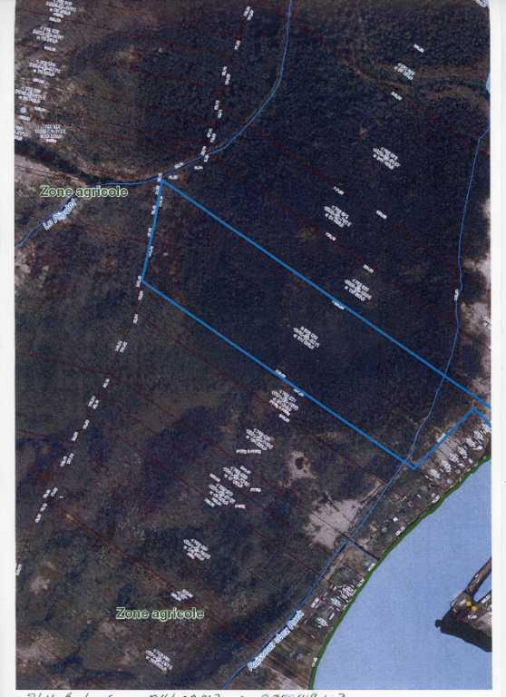 À VENDRE – Terre boisée sur l’Île de Grâce (lot 5592690 Cadastre du Québec) | 3292912