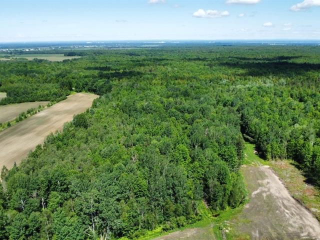 Bécancour (Centre-du-Québec) : Terre agricole de 73 acres, 50 acres en culture, loam sablonneux, forêt mixte, ruisseau | 3292959