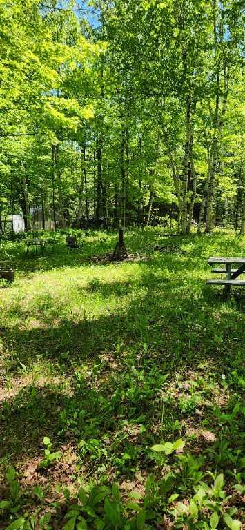 Terrain Lac de l Amitié | 3293722