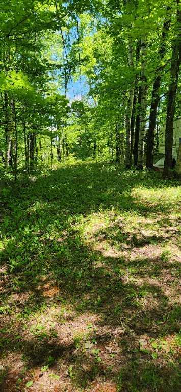Terrain Lac de l Amitié | 3293722