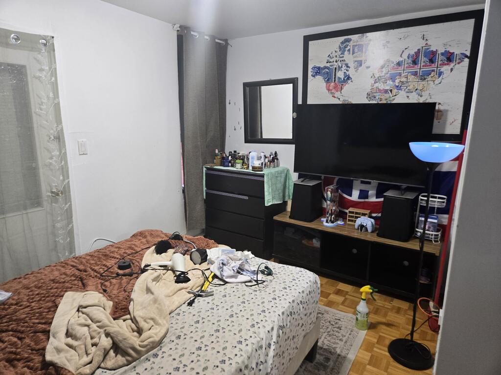 Grand 3 1/2 Plateau Mont-Royal Sous-sol | 3294938