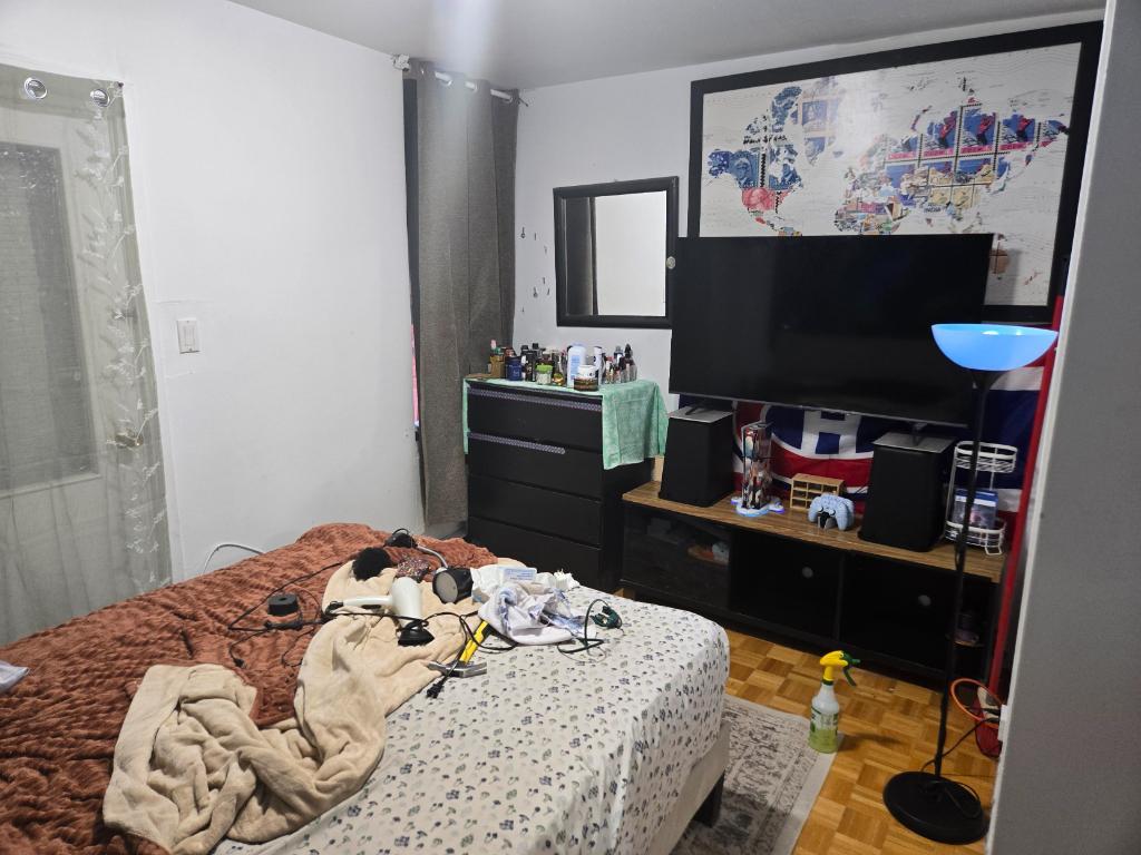 Grand 3 1/2 Plateau Mont-Royal sous-sol + cours arrière | 3295225