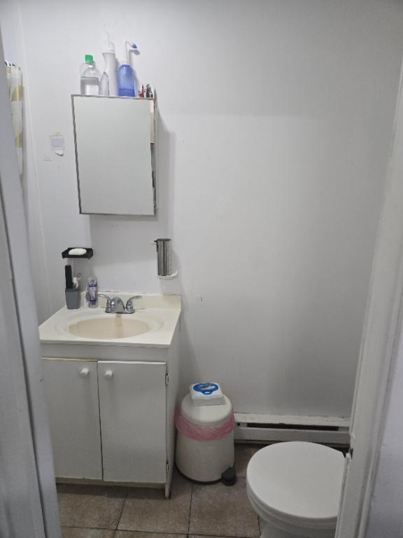 Grand 3 1/2 Plateau Mont-Royal sous-sol + cours arrière | 3295225
