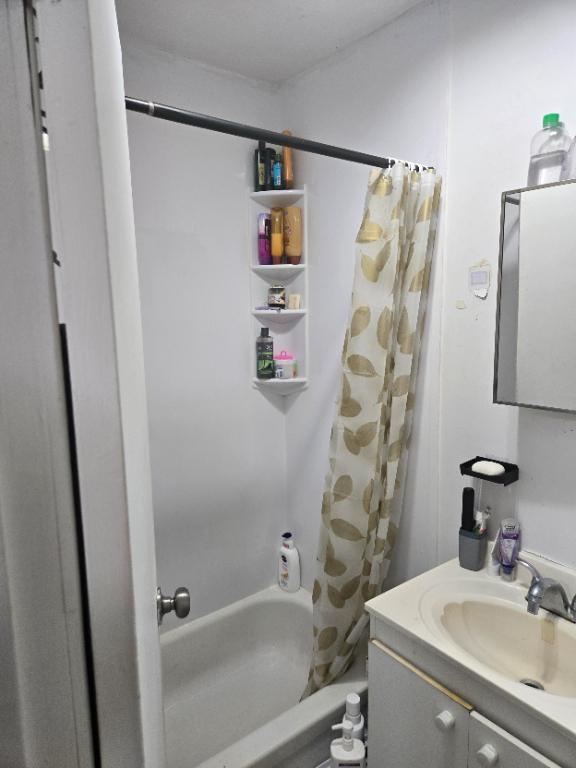 Grand 3 1/2 Plateau Mont-Royal sous-sol + cours arrière | 3295225
