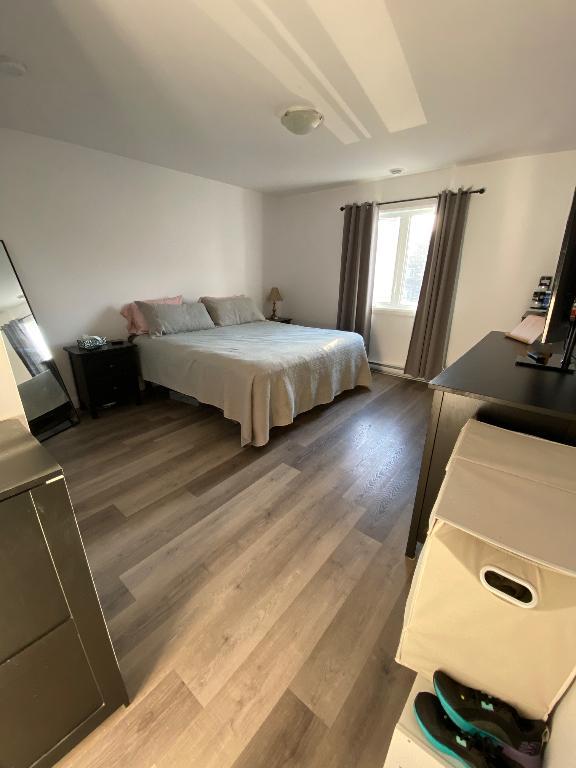 4 et demie Warwick *Animaux permis* | 3295231