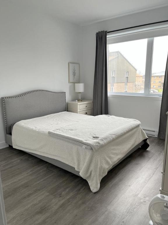 Appartement 4 et demi de style condo/ 2 bedroom apartment for Rent | 3295282