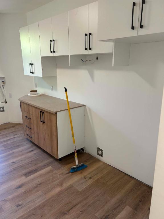 Grand et luxueux 3 1/2 Plateau Mont-Royal | 3295304
