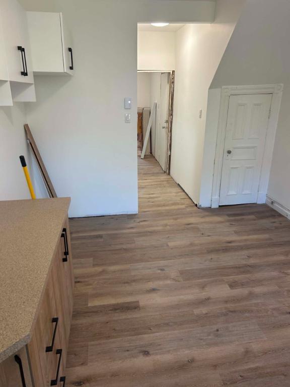 Grand et luxueux 3 1/2 Plateau Mont-Royal | 3295304