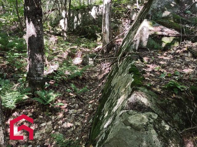 Terrain | 3295381