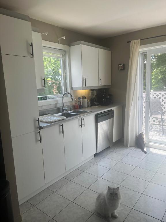 Grand 4 1/2 lumineux - 1500$! - Début juillet - Près de tout | 3296586