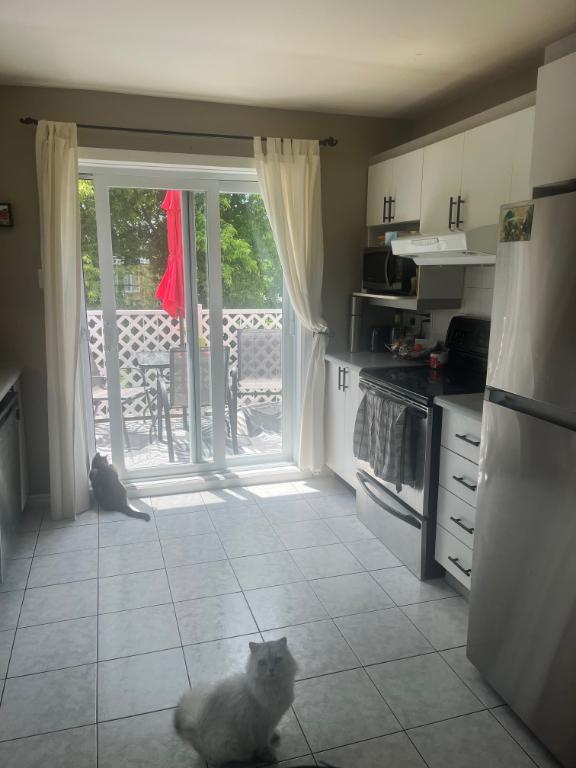 Grand 4 1/2 lumineux - 1500$! - Début juillet - Près de tout | 3296586