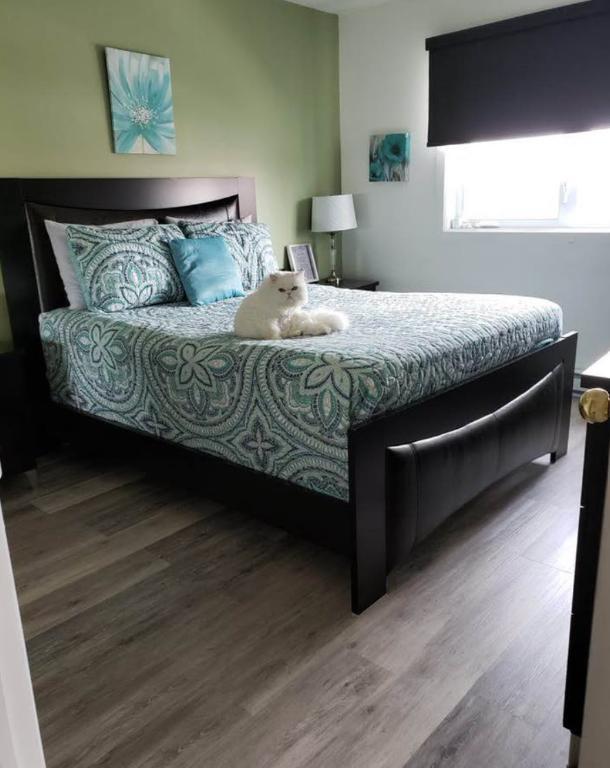 À LOUER – Magnifique 4 ½ très éclairé | 1 500 $/mois | 3296588